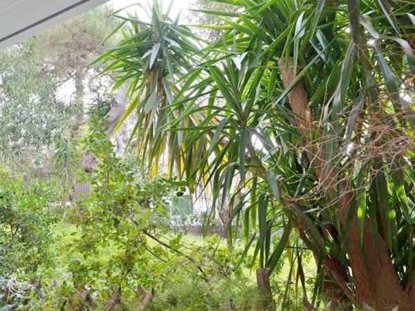 Ferienwohnung Vouliagmeni'S Secret Garden Near The Sea Athen Exterior foto